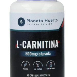 L-CARNITINA 500MG