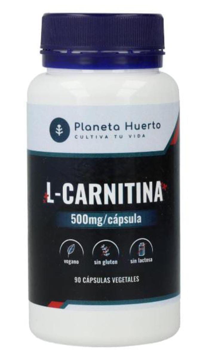 L-CARNITINA 500MG