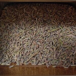 LAVANDA