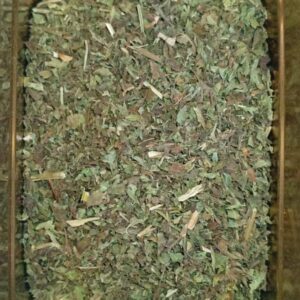 MELISA HIERBA MEDICINAL