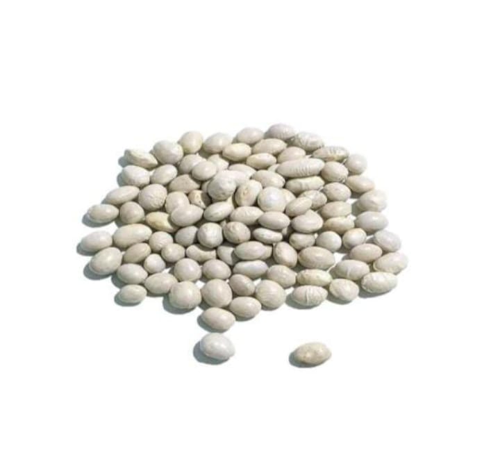 SOJA BLANCA BIO