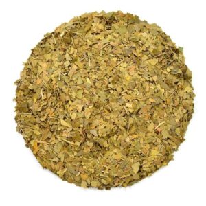 GINKGO BILOBA